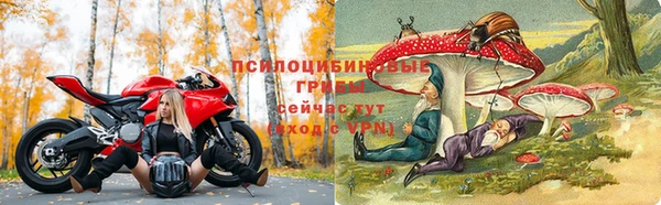 молекула духа Пролетарск