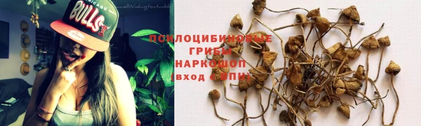 герыч Аркадак
