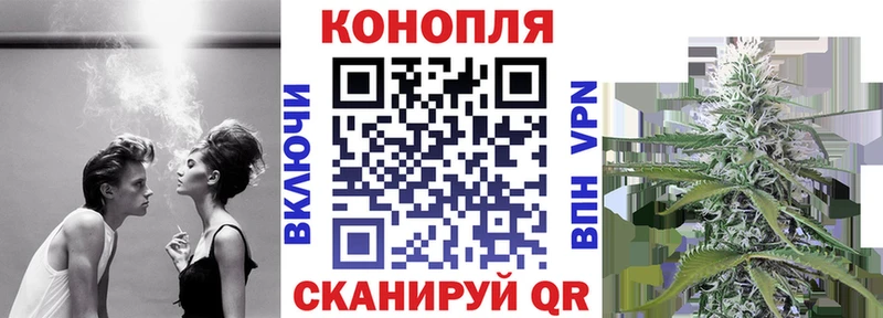 Конопля семена купить закладку Острогожск